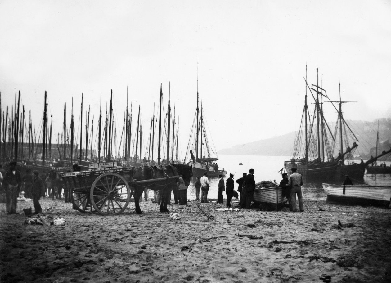 Porto di St Ives verso Carbis Bay, c.1880-99 da English Photographer