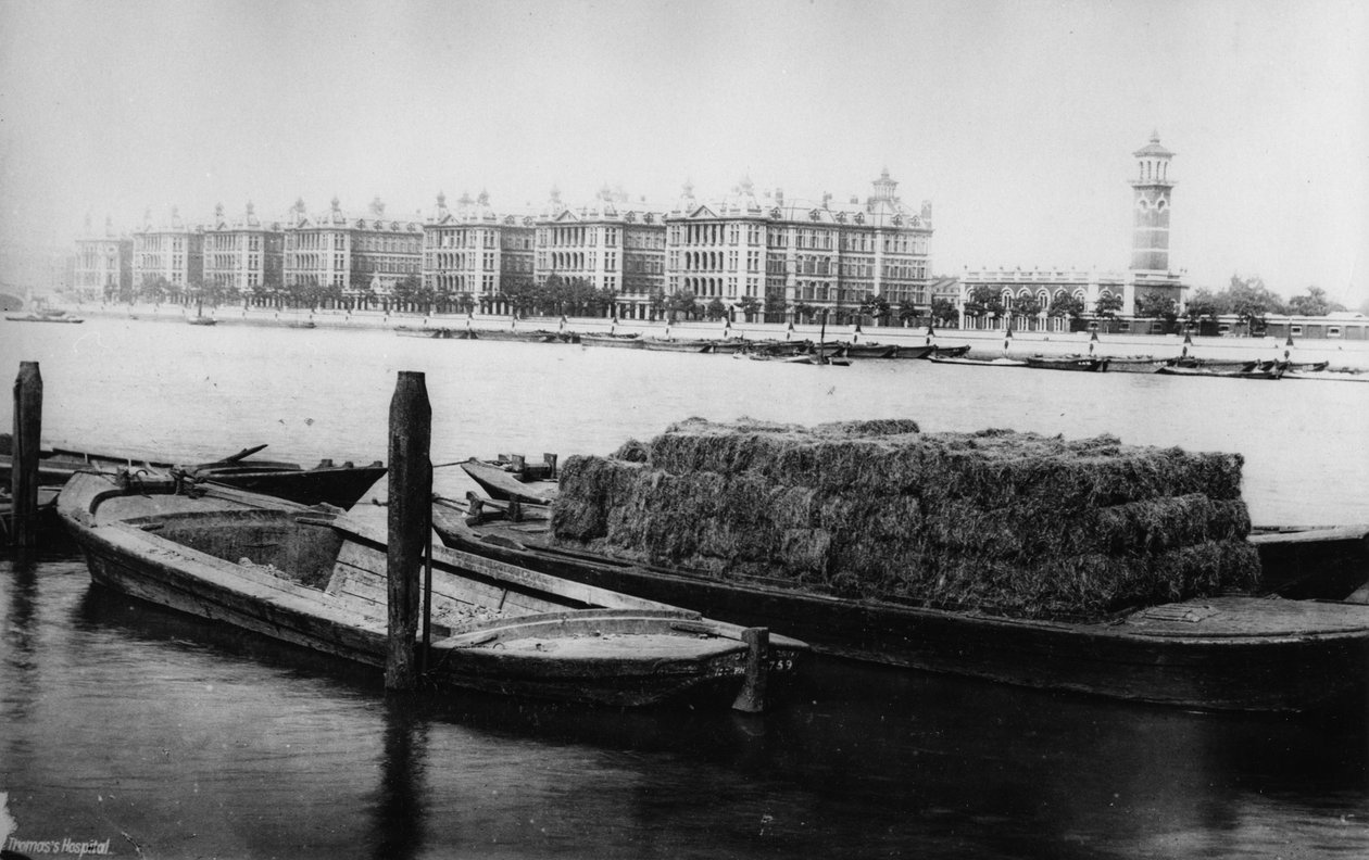 Ospedale di San Tommaso, Albert Embankment da English Photographer