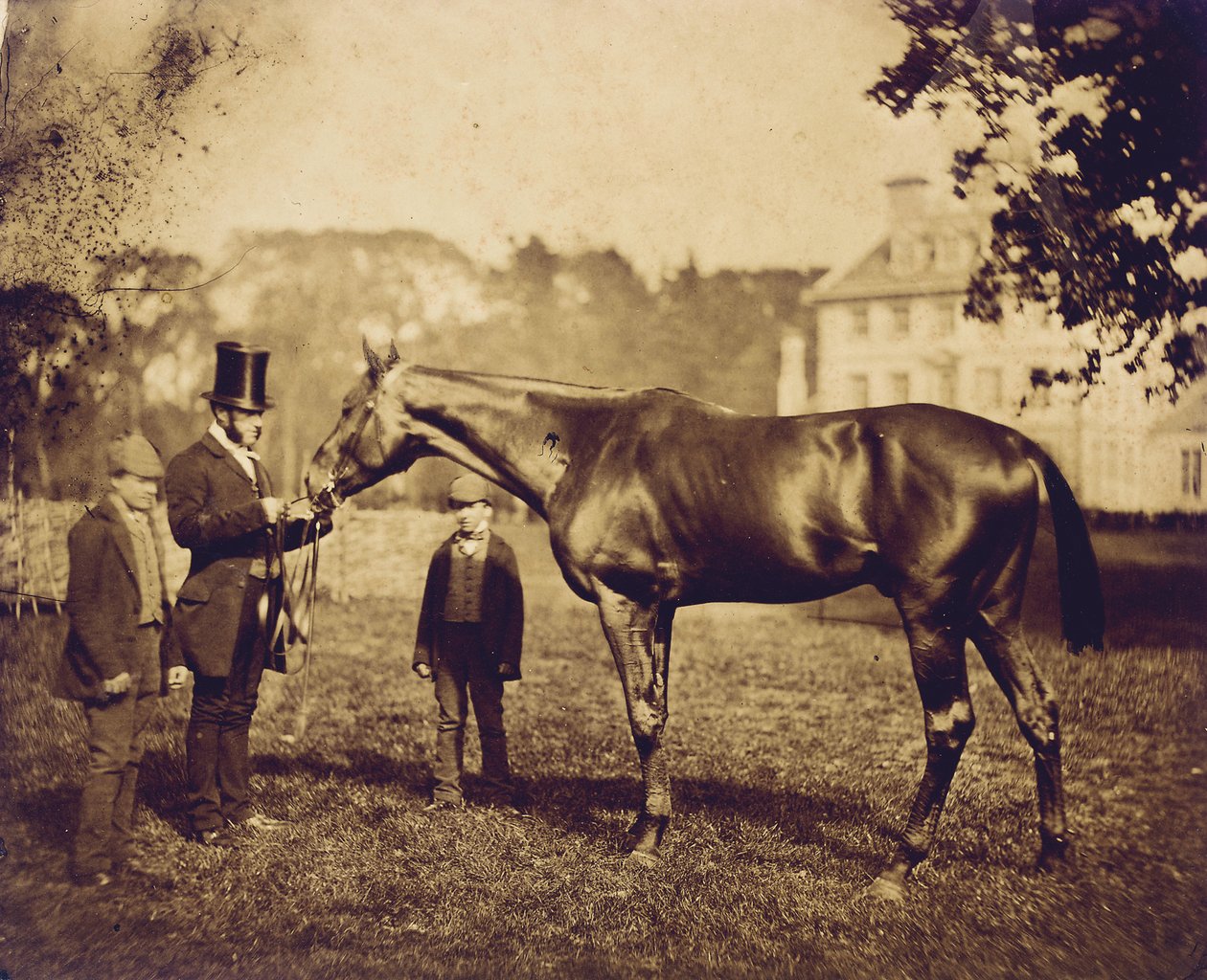 Wild Dayrell, vincitore del Derby nel 1856 da English Photographer
