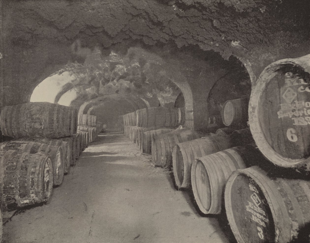 Volte del vino (foto b/n) da English Photographer