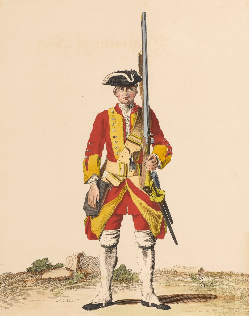 29º Reggimento di Fanteria, circa 1742 da English School