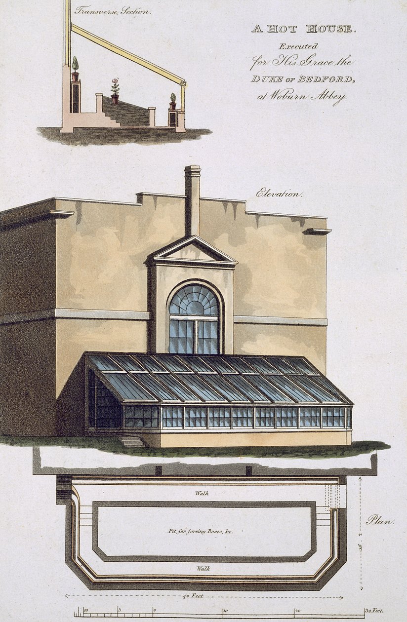 Una serra calda eseguita per Sua Grazia il Duca di Bedford a Woburn Abbey, 1806 da English School
