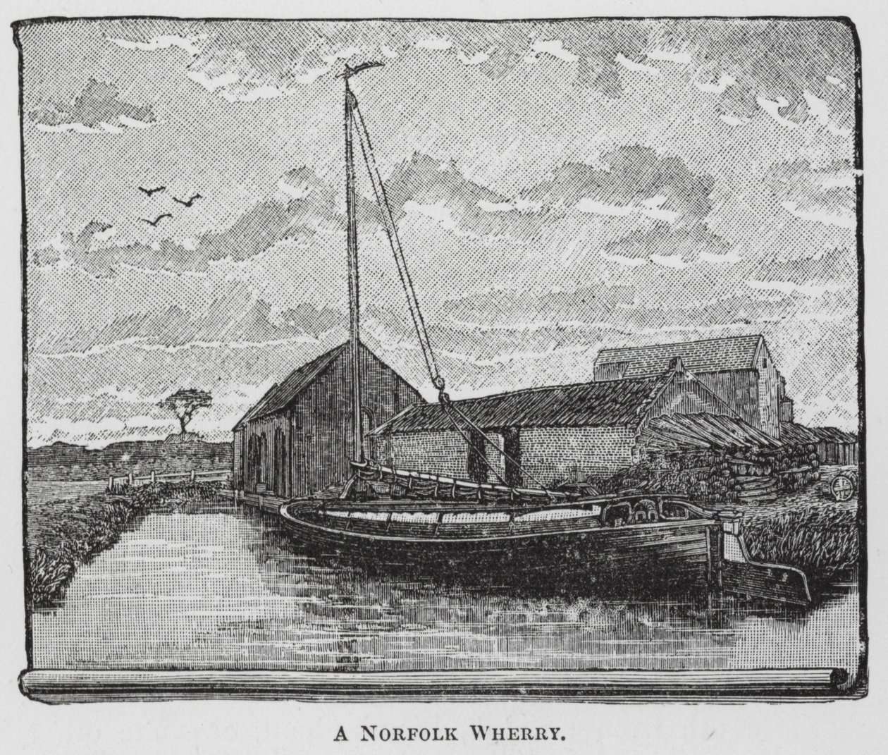 Un Norfolk Wherry (incisione) da English School