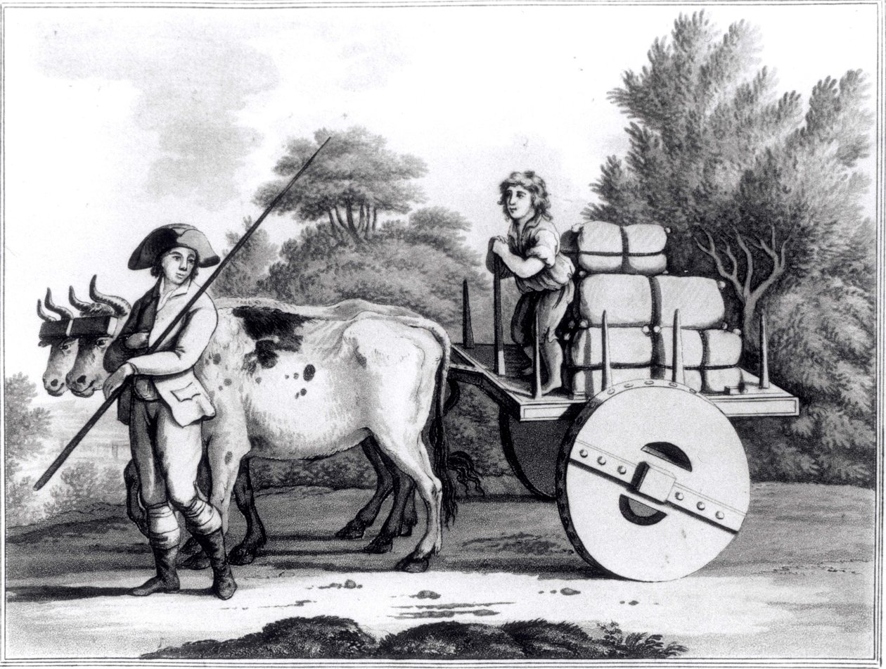 Una fattoria portoghese, da Una visione generale dello stato del Portogallo di James Murphy, pubblicato nel 1797 da English School