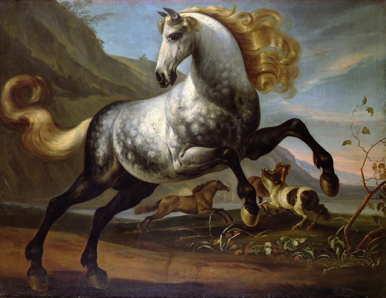 Un cavallo stallone che si pavoneggia con stalloni che combattono da English School