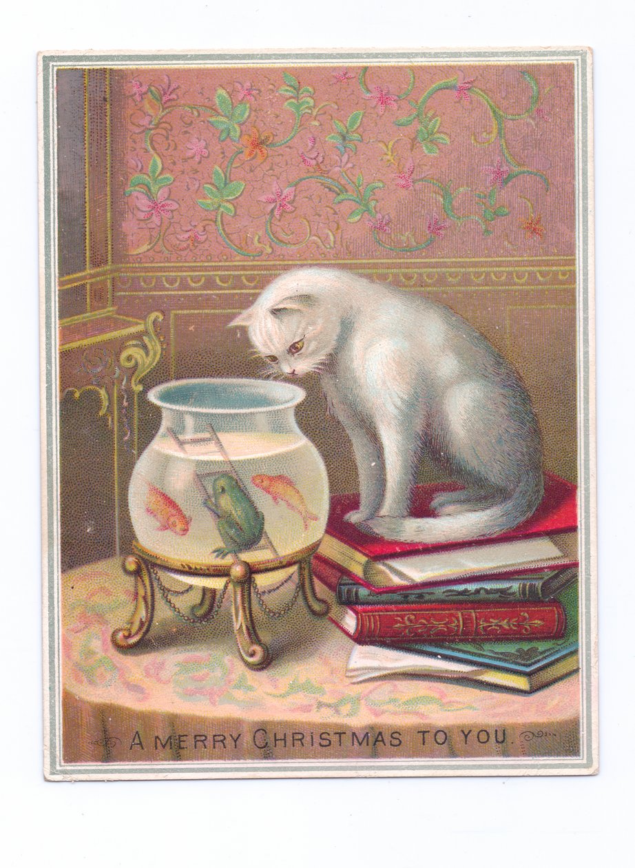 Biglietto di Natale vittoriano raffigurante un gatto seduto su una pila di libri e che guarda in una boccia per pesci rossi, 1880 circa (litografia a colori) da English School