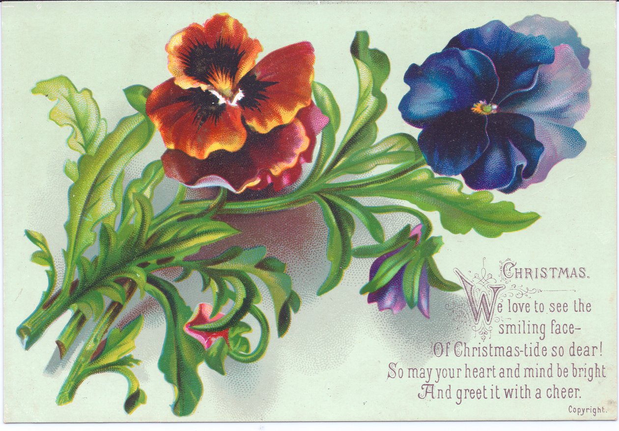 Cartolina di Natale vittoriana con un mazzo di viole del pensiero, c.1880 da English School