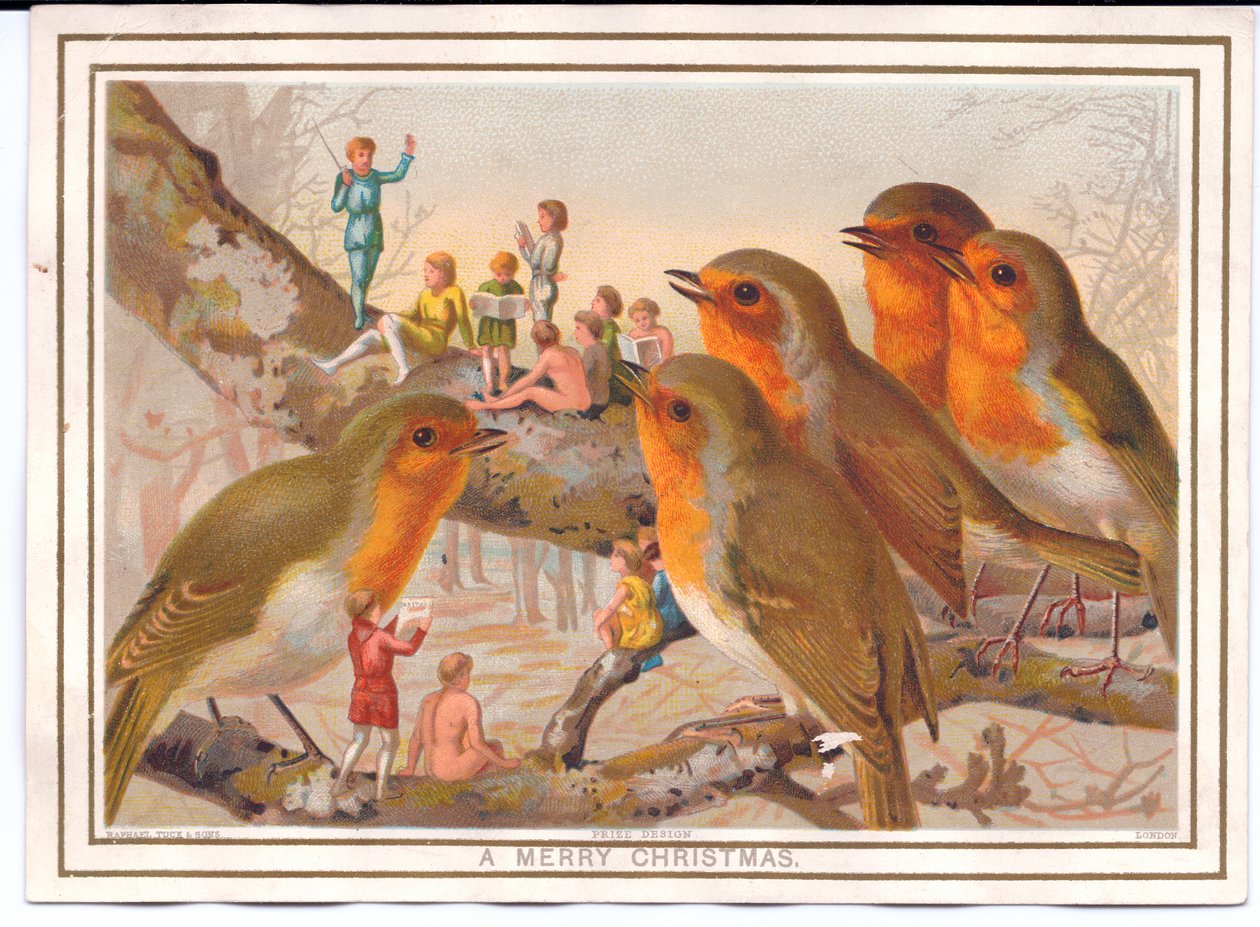 Cartolina di Natale vittoriana di cinque pettirossi appollaiati su un ramo che ascoltano una banda di fate, c.1880 da English School