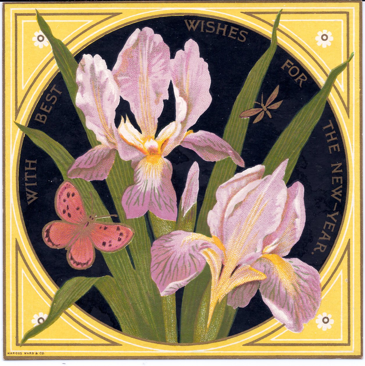 Una cartolina di Capodanno vittoriana con iris e farfalla da English School