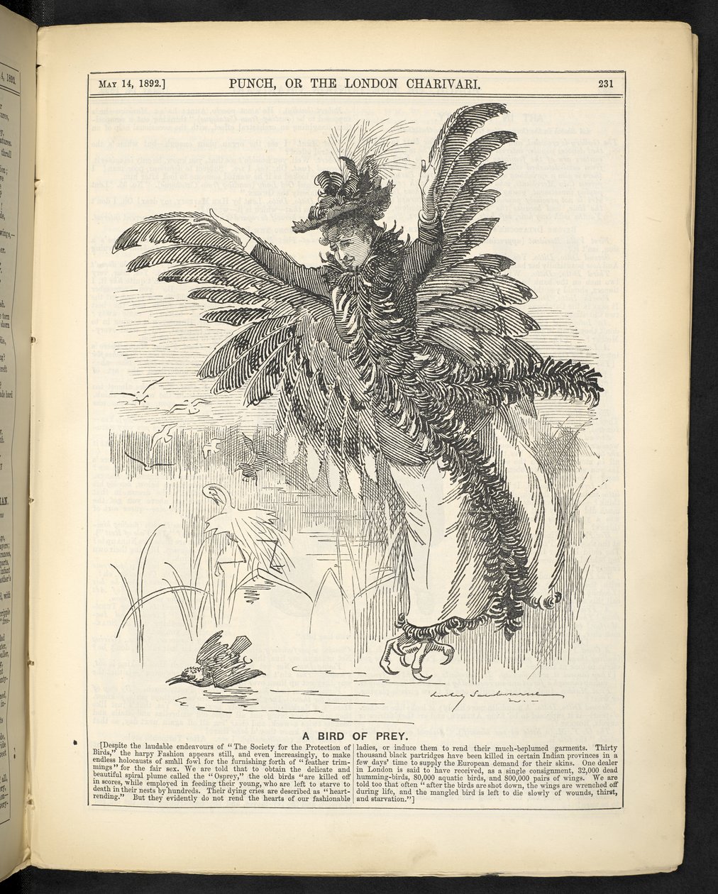 Un uccello rapace, da 