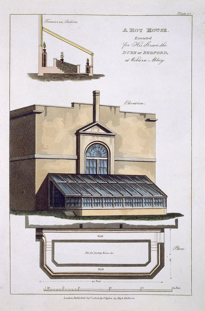 Una serra calda eseguita per Sua Grazia il Duca di Bedford a Woburn Abbey, 1806 da English School