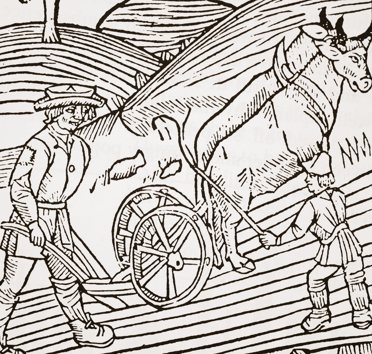 Una coppia di buoi attaccati a un aratro, frontespizio dal Boke of Husbandry di John Fitzherbert, prima pub. 1523 da English School