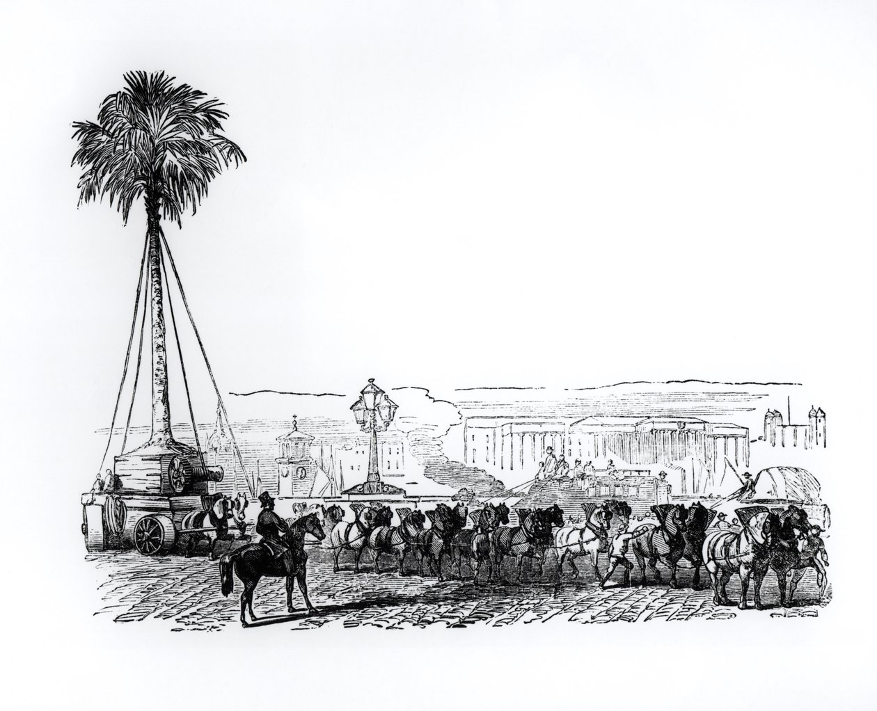 Una palma trasportata a Hyde Park per la Grande Esposizione, Londra, 1851 da English School