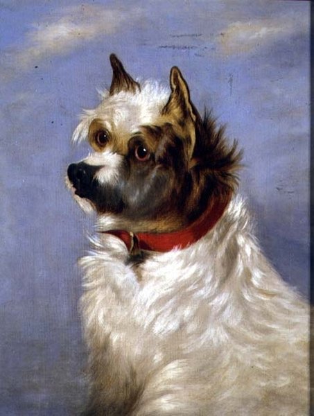 Un terrier con un collare rosso da English School