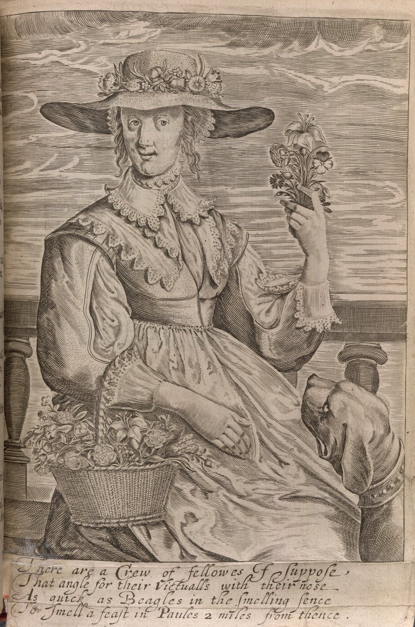 Una donna con fiori, illustrazione da 