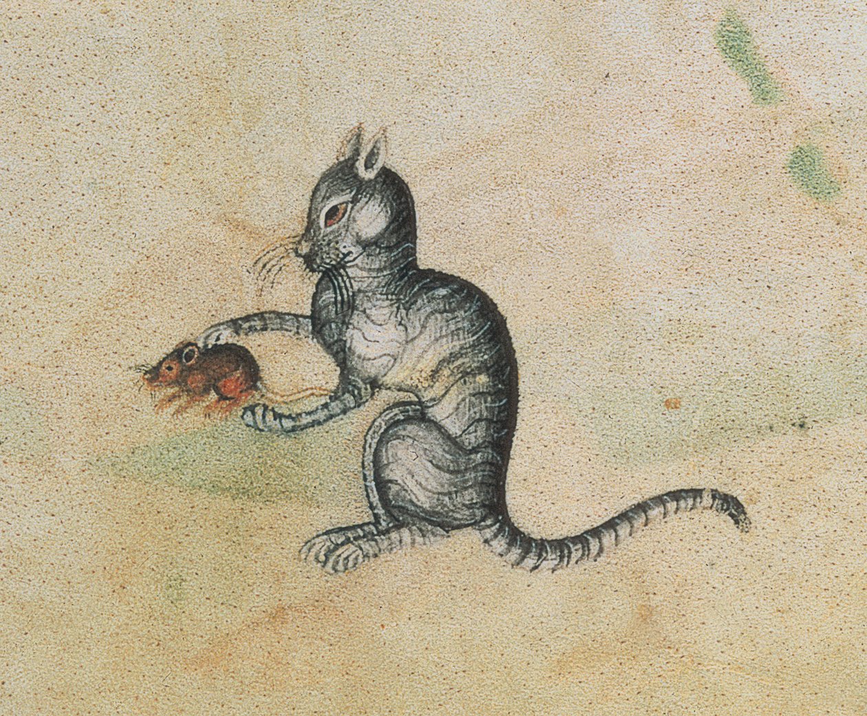 Un gatto domestico che gioca con un topo, dal Luttrell Psalter, iniziato prima del 1340 per Sir Geoffrey Luttrell (1276-1345) (dettaglio) da English School