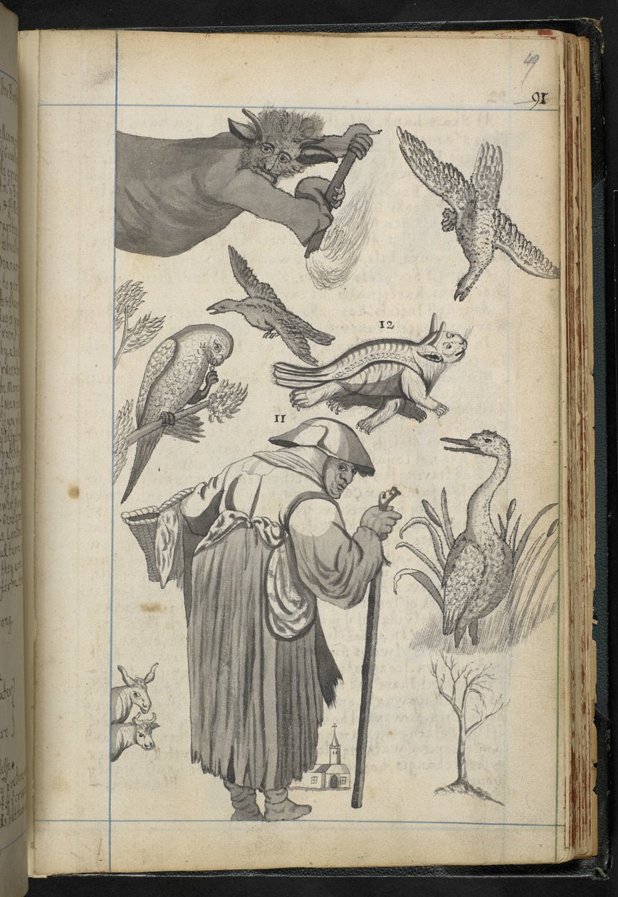 Illustrazione da 