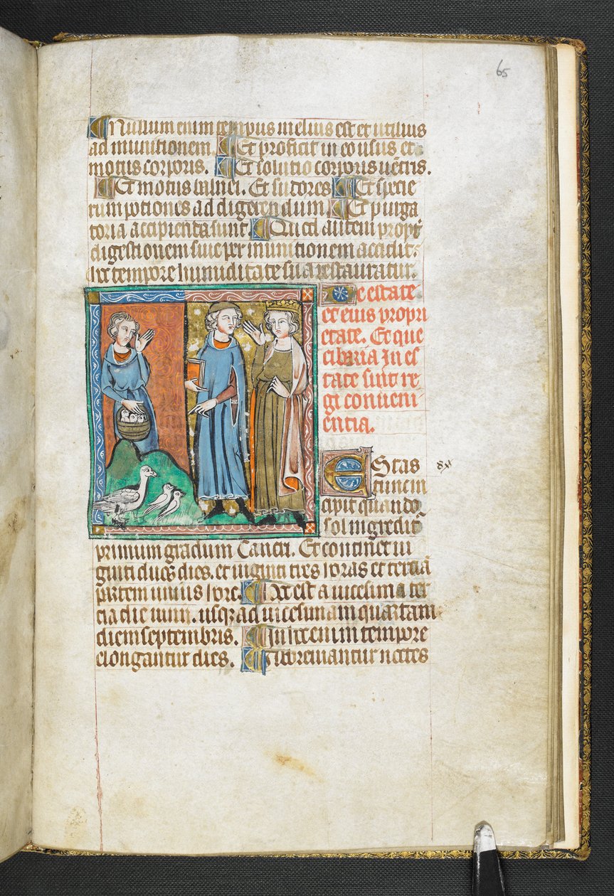 Aristotele che indica gli uccelli portati al re, da Secretum Secretorum, c.1326-27 (pergamena) da English School