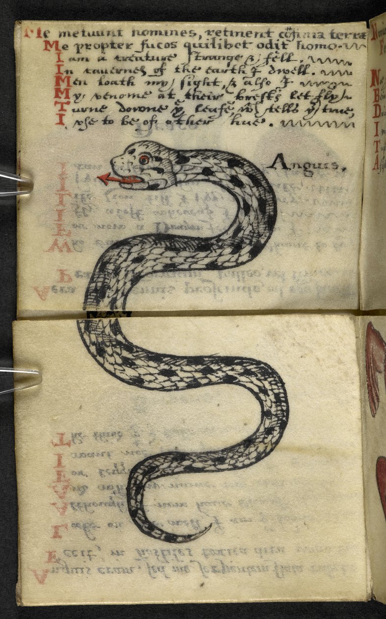 Add MS 57312 f.4 Libro di caccia da English School
