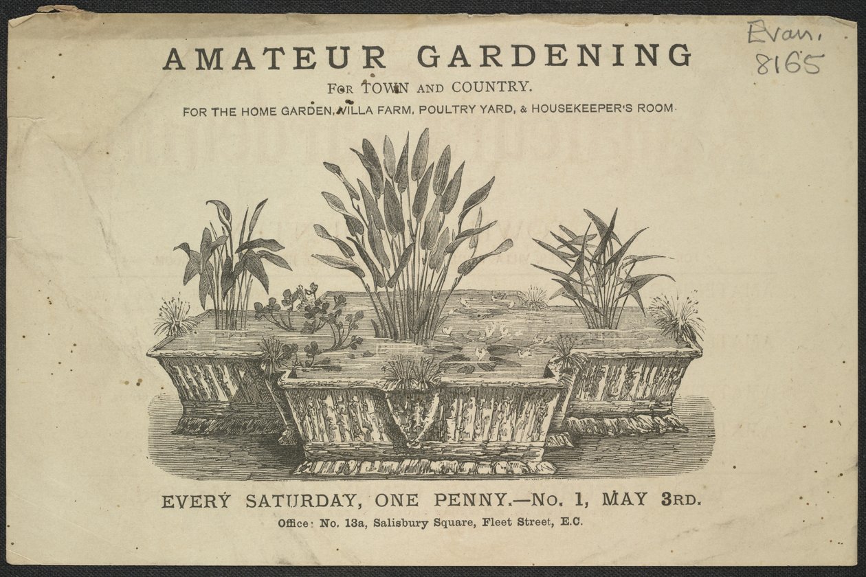 Pubblicità per il periodico di giardinaggio amatoriale da English School