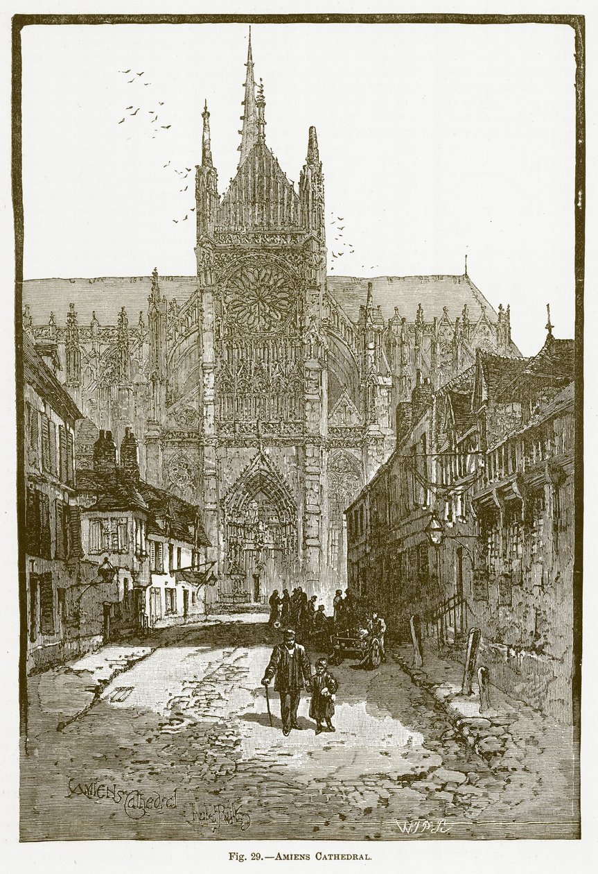 Cattedrale di Amiens (incisione) da English School