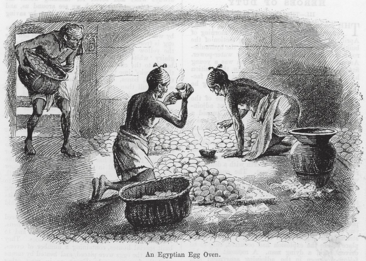 Un forno egizio per uova (incisione) da English School