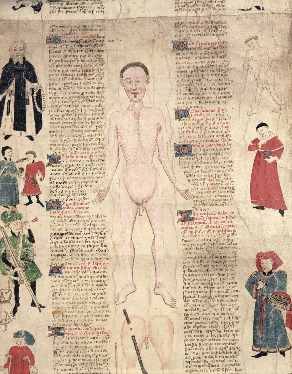 Diagramma anatomico, da De arte phisicali e de cirugia di John Ardene, 1412 da English School