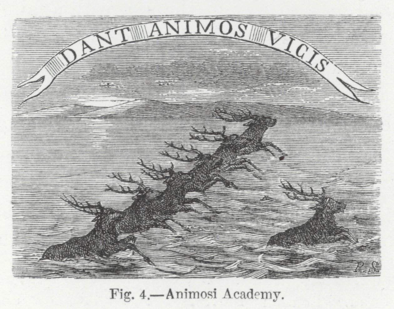 Accademia Animosi (incisione) da English School
