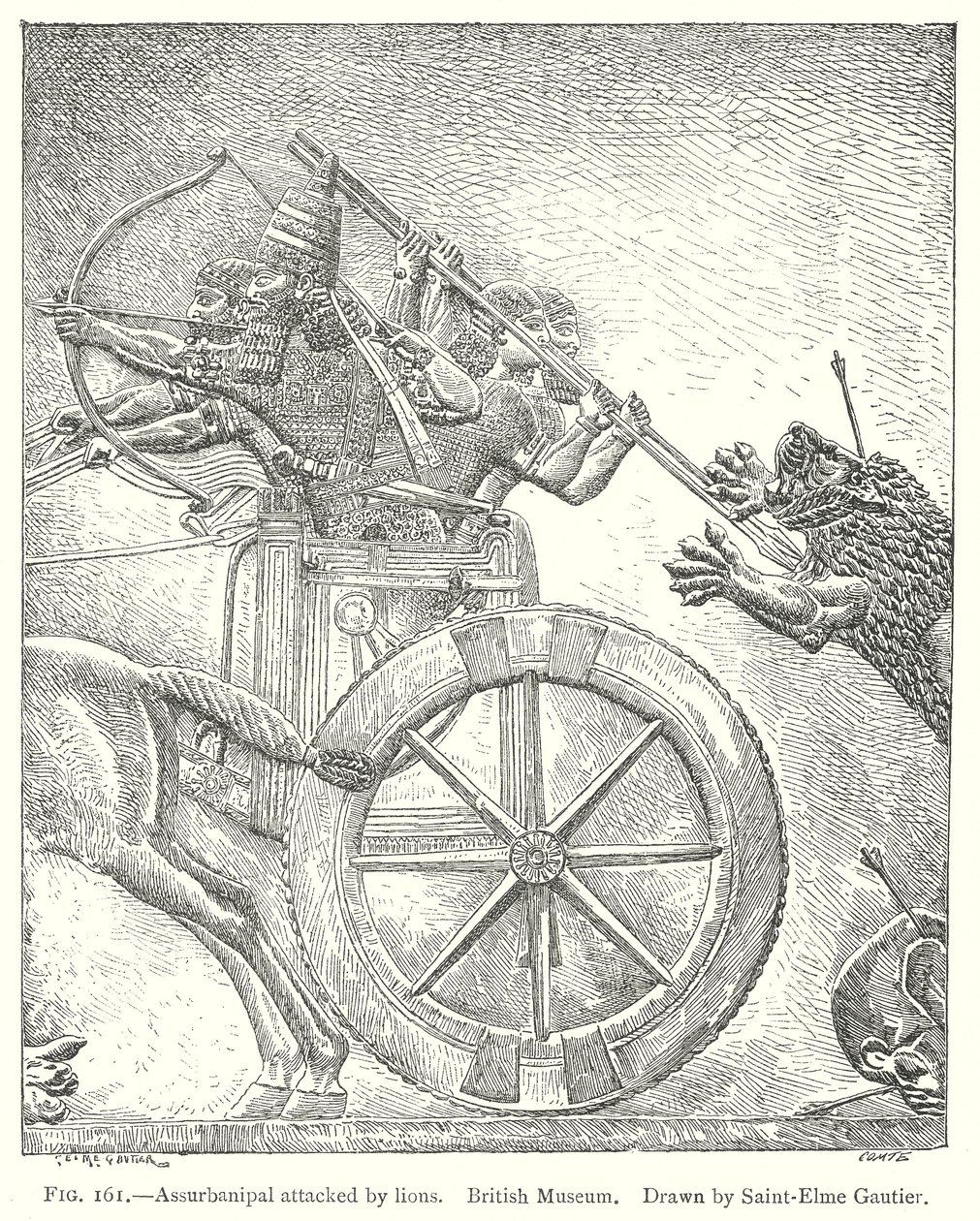 Assurbanipal attaccato dai leoni. British Museum (incisione) da English School