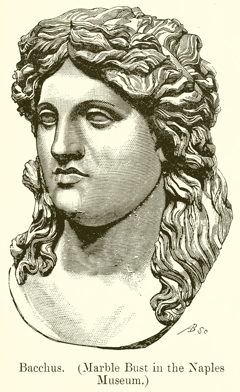 Bacco. (Busto in marmo del Museo di Napoli) (incisione) da English School