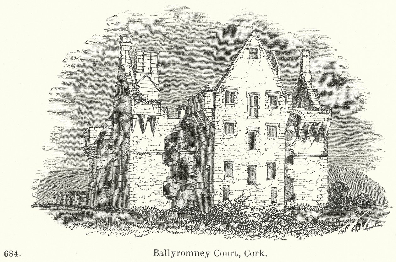 Corte di Ballyromney, Cork (incisione) da English School