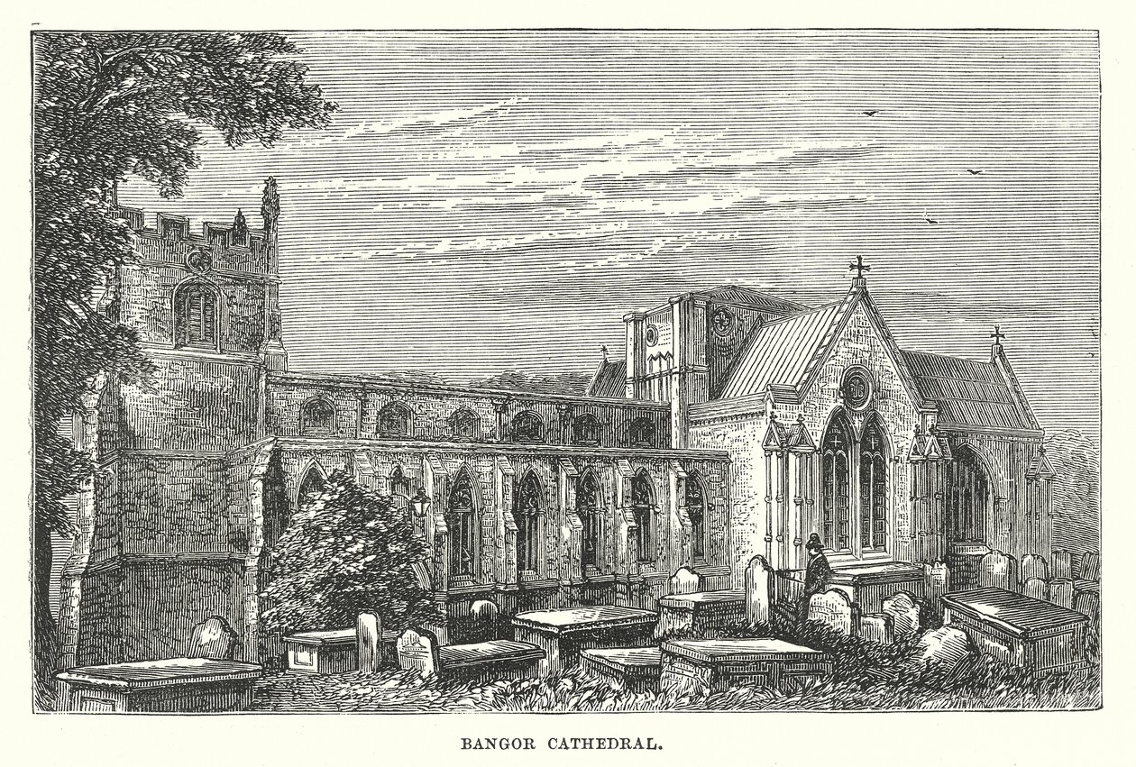 Cattedrale di Bangor (incisione) da English School