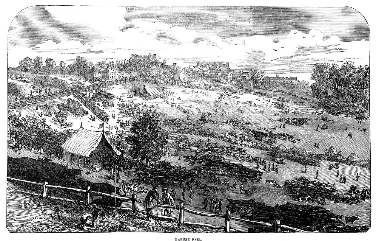 Fiera di Barnet, 1849 da English School