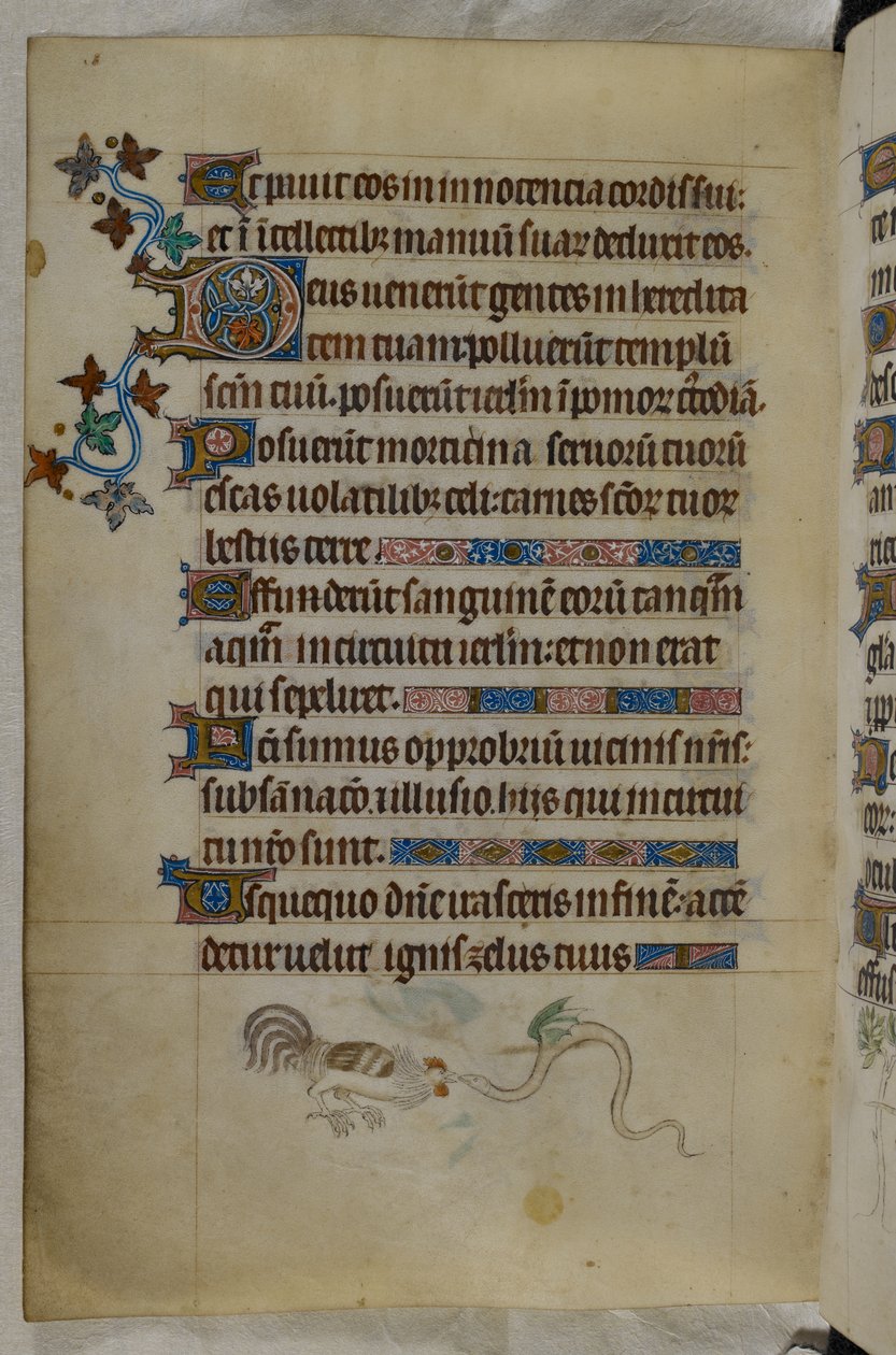 Scena di bas-de-page di un gallo e un serpente alato che combattono, con una lettera iniziale decorata 
