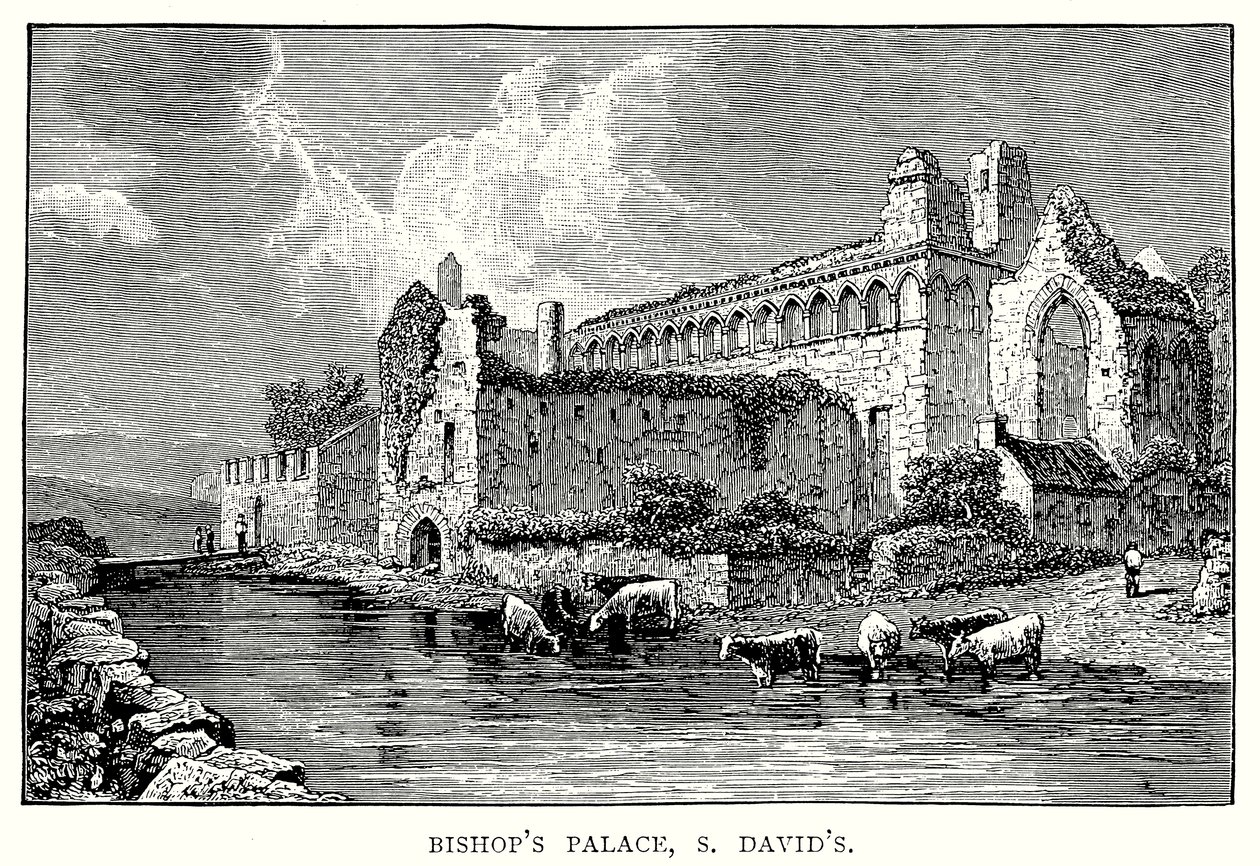 Palazzo del Vescovo, S David (incisione) da English School