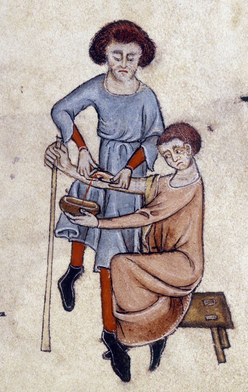 Salasso, dal Luttrell Psalter, c.1325-35 da English School