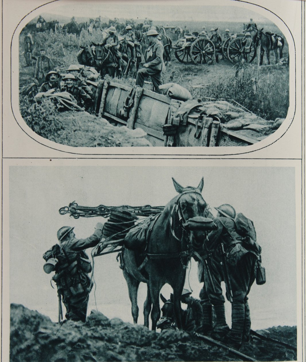 Artiglieri britannici con cavalli da soma, Fiandre, agosto 1917 da English School