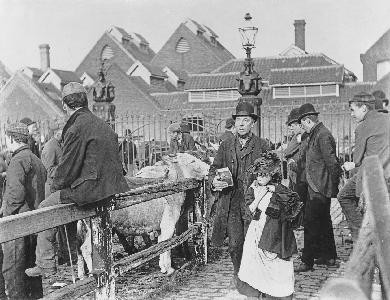 Mercato del bestiame del villaggio britannico, vittoriano, XIX secolo da English School
