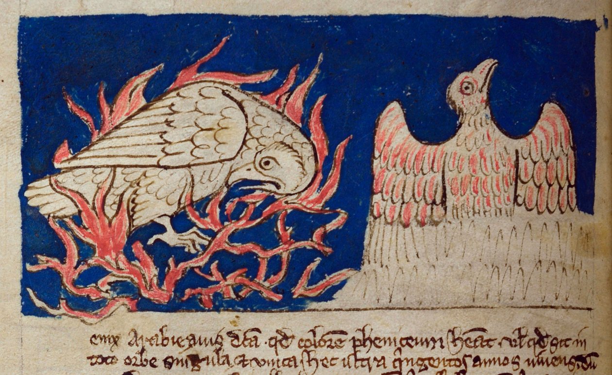 CCA-LitMs/D/10 fol. 17v Fenice, dal Bestiario da English School