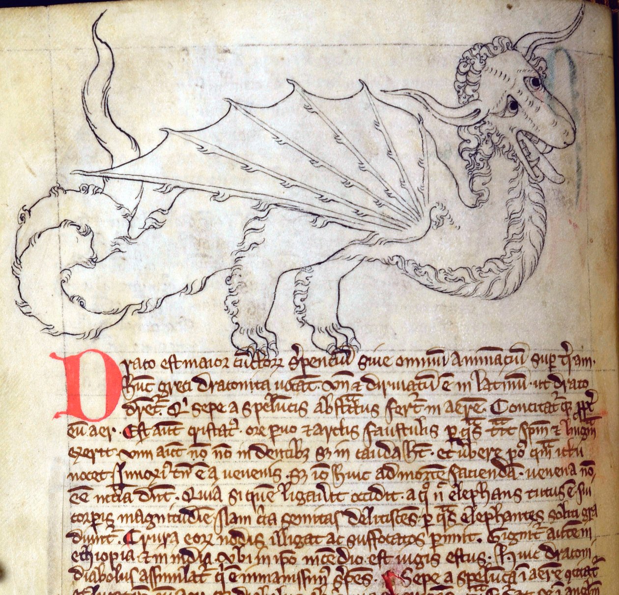 CCA-LitMs/D/10 fol. 24v Drago, dal Bestiario da English School