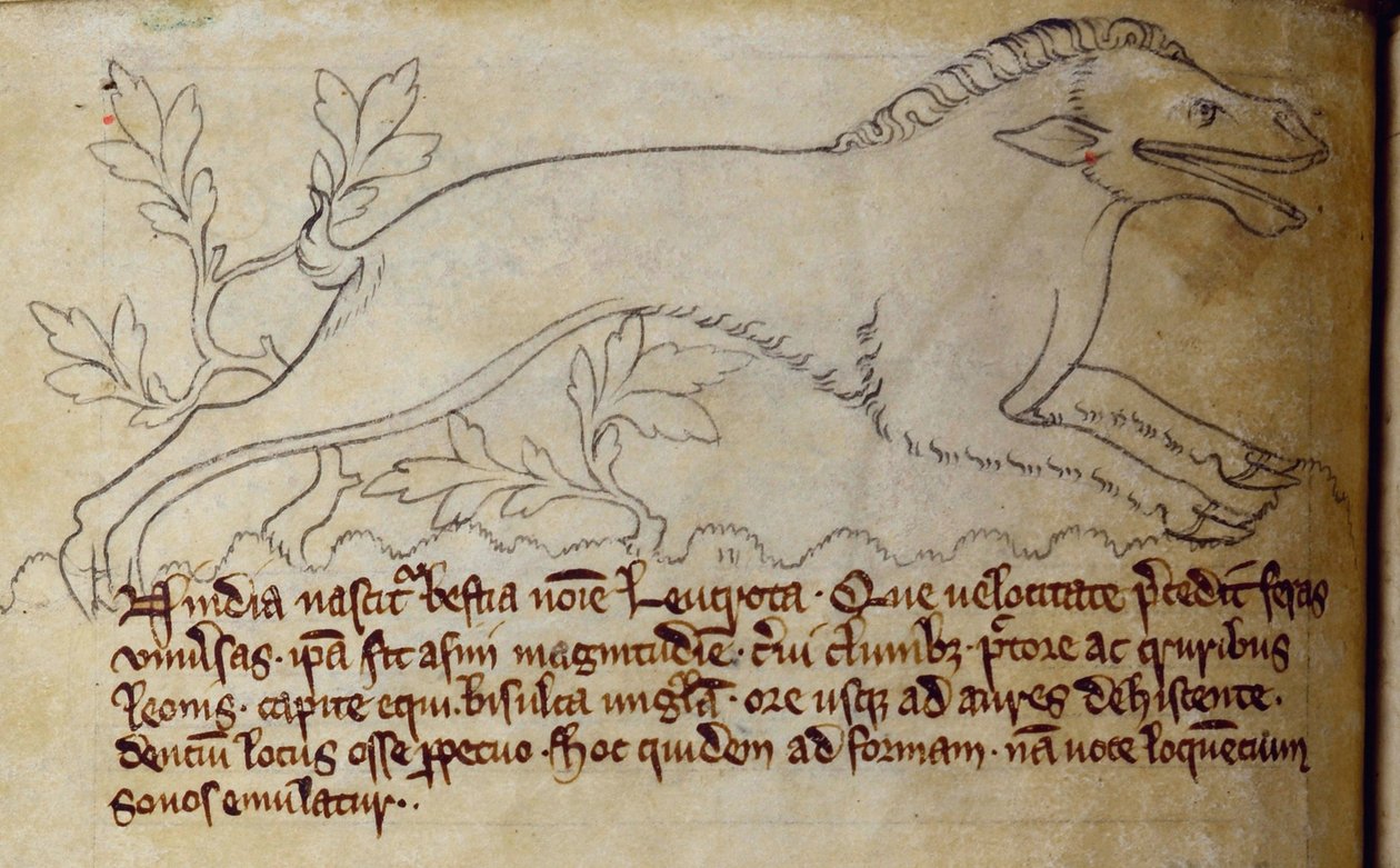 Leucrota, dal Bestiario da English School