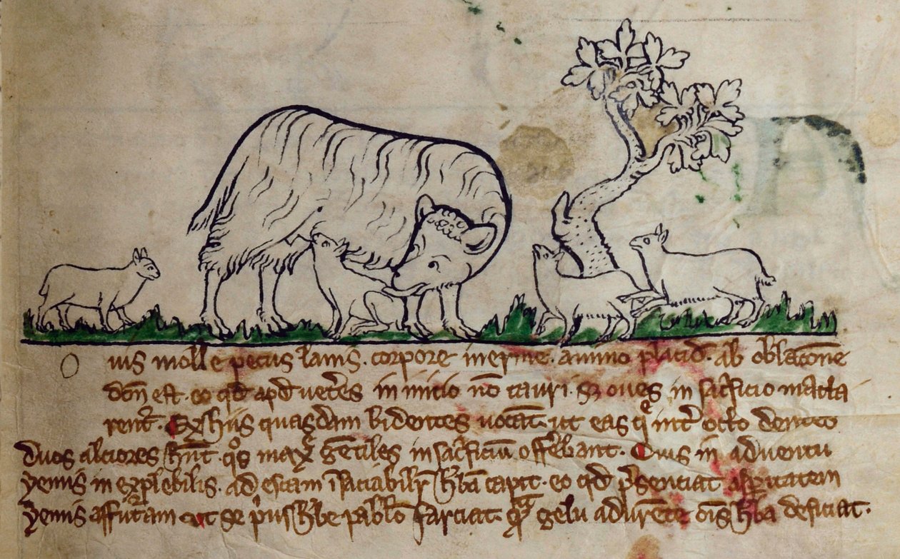 CCA-LitMs/D/10 fol. 8r Pecora, dal Bestiario da English School