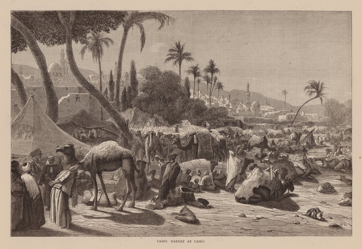 Mercato dei cammelli al Cairo (incisione) da English School