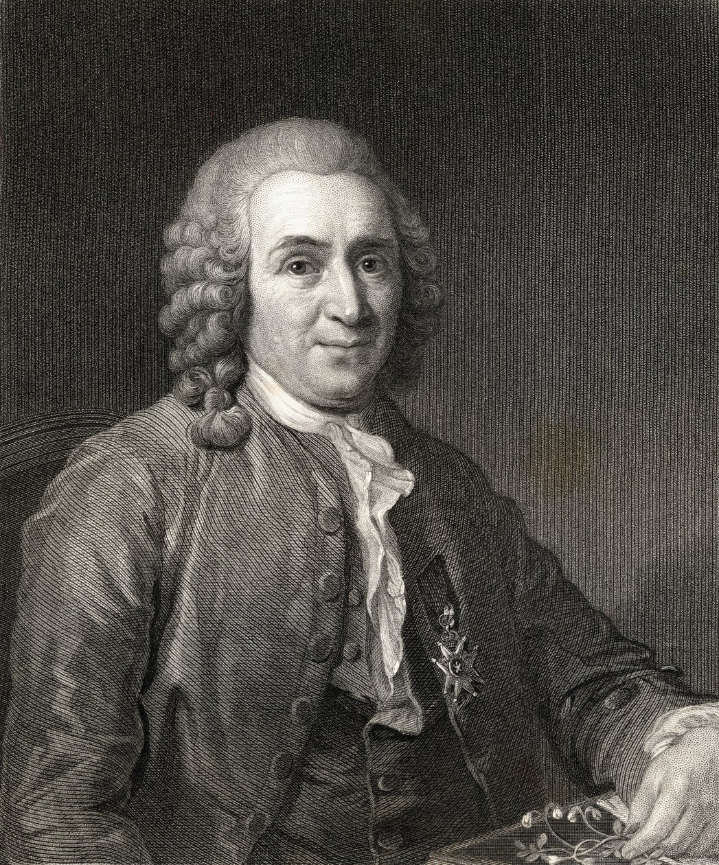 Carl von Linné o Linneo da Gallery of Portraits, pubblicato nel 1833 da English School