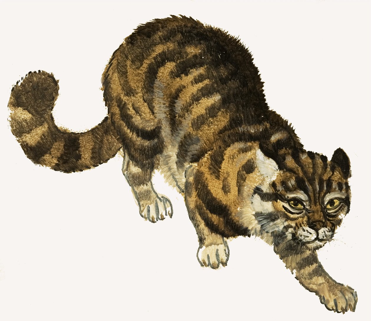 Gatto da English School