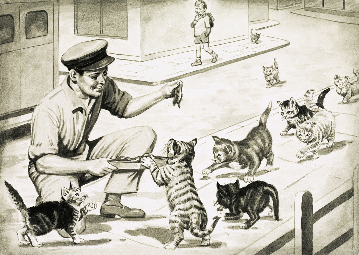 I gatti vengono a salutare l