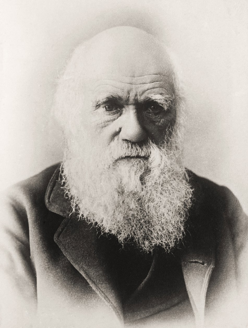 Charles Darwin da English School