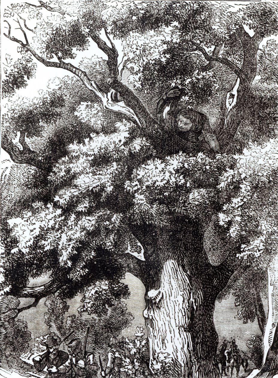 Carlo II (1630-85) nascosto nella quercia, 14 ottobre 1651 da English School