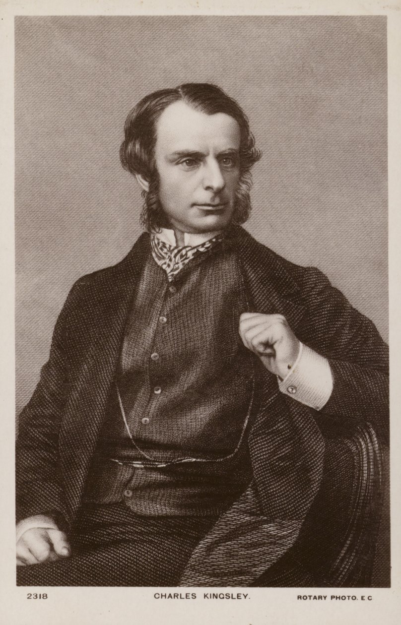 Charles Kingsley (1819-1875), ecclesiastico, storico e romanziere inglese (litografia) da English School