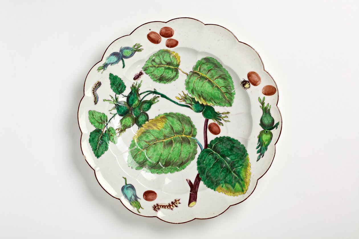 Piatto di Chelsea decorato con illustrazione botanica di noci, insetti e foglie, 1755 da English School